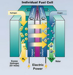 How to Build a Hydrogen Fuel Cell
